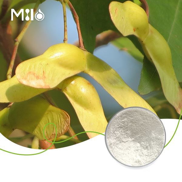 Prášok kyseliny nervovej